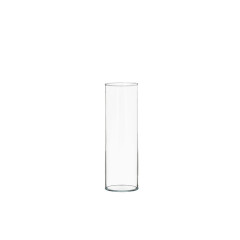Cylinder vase 20 cm — diameter 6,5 cm