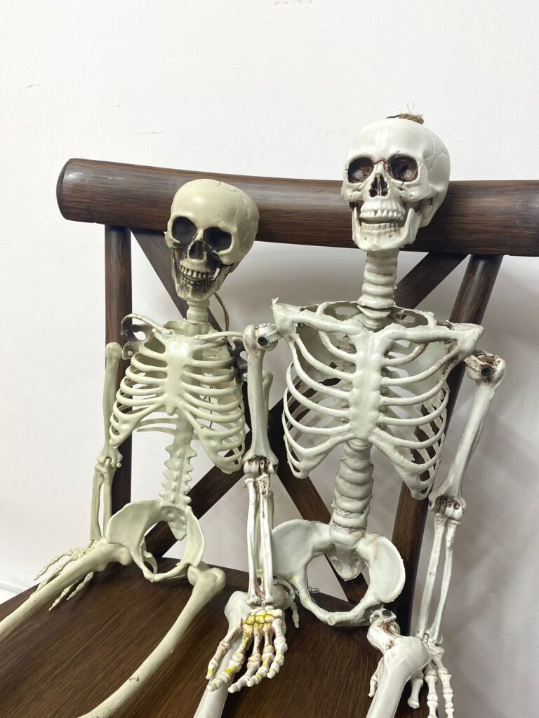 Skeleton for decor 90 cm — 4