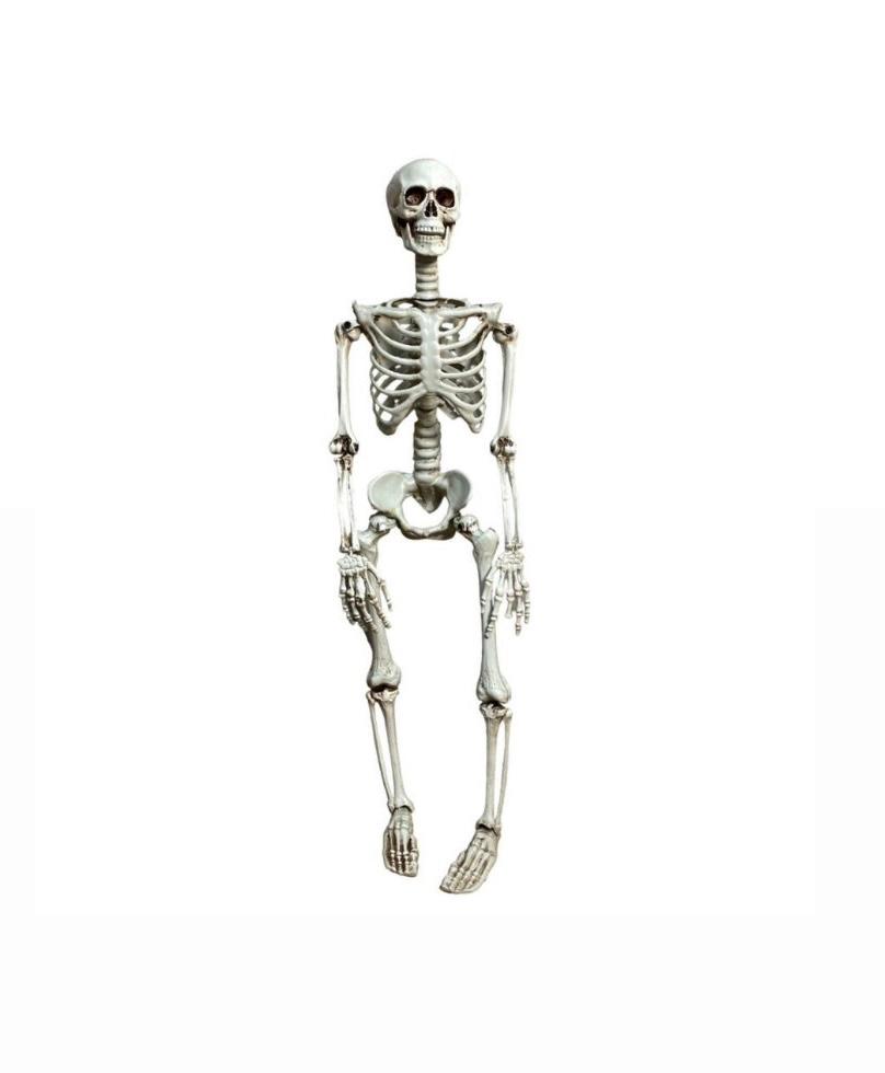 Skeleton for decor 90 cm — 1