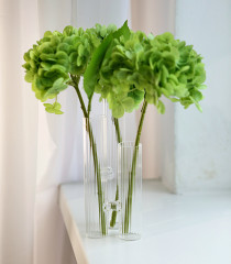 Vase «Florans»