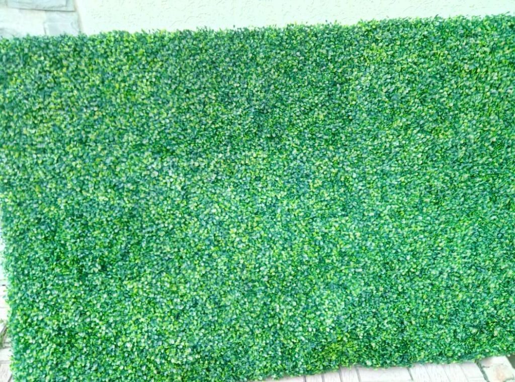 Стена из самшита 2.4х1.2 м — 3