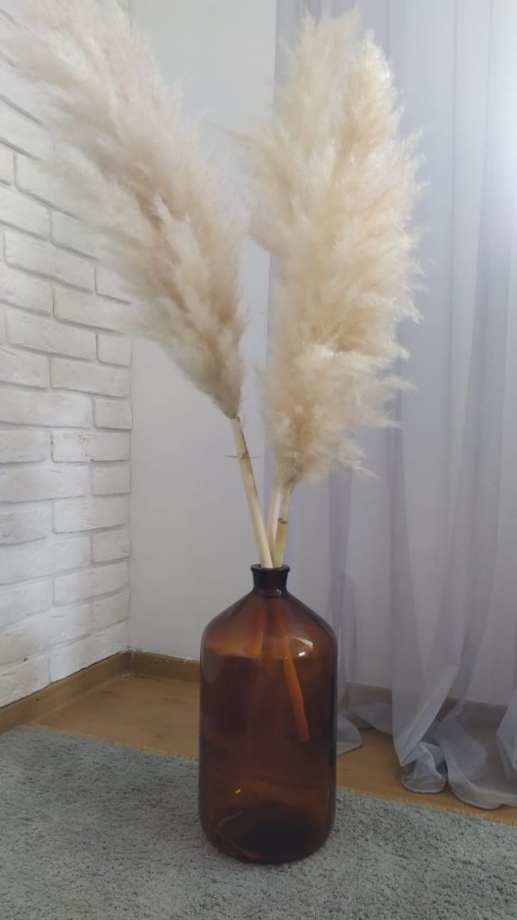 Bottle Chada 34 cm — 2